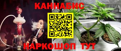 гашик Нарткала