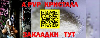 PSILOCYBIN Нальчик